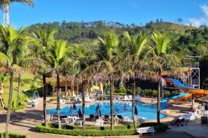 piscinas rodeadas de coqueiros - hotel fazenda saint nicolas - aguas de lindoia